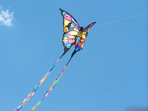 山东潍坊第三十届国际风筝会将于4月20日开幕