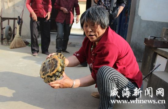威海护林老汉捡到巴西龟 长30厘米重达4.8斤_