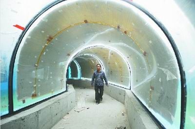 大明湖底通隧道市民可赏热带鱼