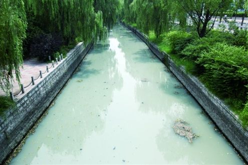 受污水影响，东工商河下游河水变成乳白色　见习记者赵天羿摄