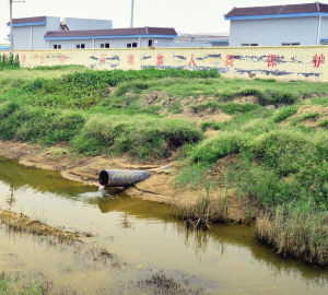 九户镇齐东二路西侧，一家工厂排污管道正在排放废水。渤海早报记者 王晓明 摄