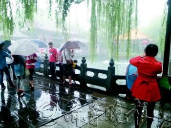雨天趵突泉内游客明显减少。　　见习记者　李师胜　摄