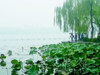 雨中的大明湖畔游客稀稀拉拉。　　见习记者　李师胜　摄　摄