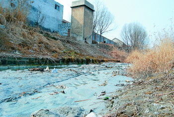　历城区赵王河河水被严重污染。本报记者　陈伟　摄