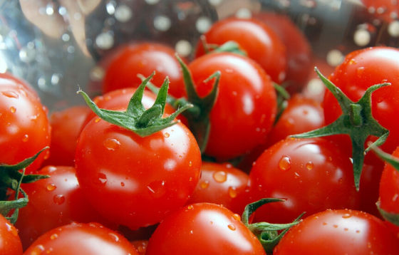 多吃番茄可防晒 专家称食品防晒无科学道理_新